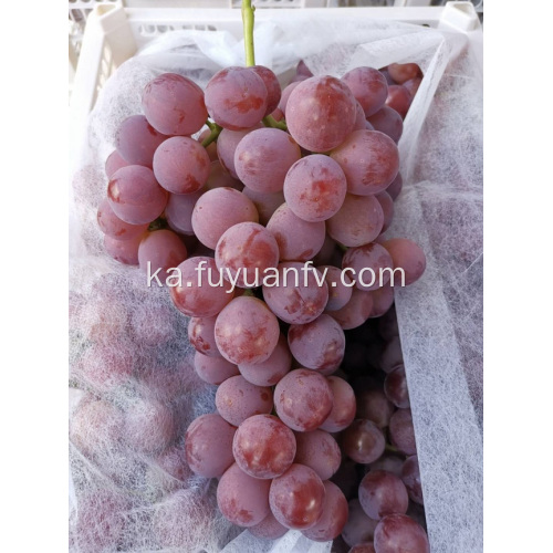 BINCHUAN GRAPES დაწყებულია